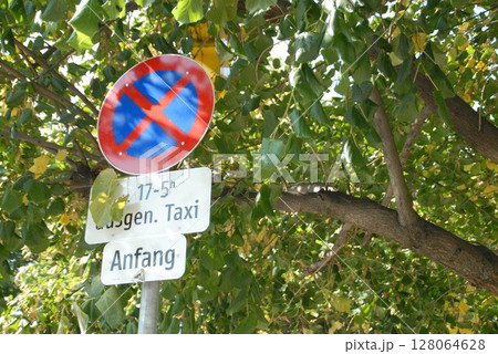 葡萄棚越しに見る駐車禁止とタクシー標識 葡萄棚越しに見る駐車禁止とタクシー標識 128064628