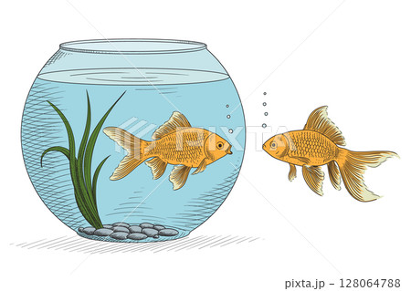 Two fish and an aquarium 128064788