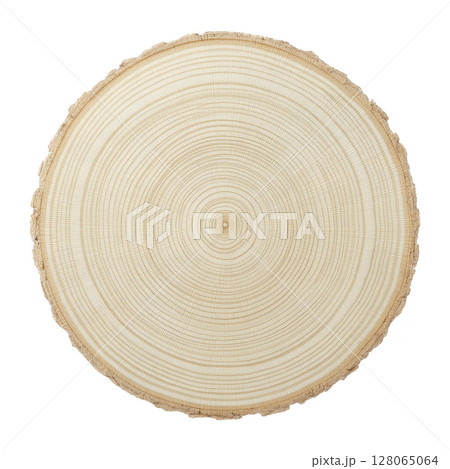 Cross section of tree trunk displays concentric growth rings, showcasing natural texture and pattern of wood. circular slice highlights age and history of tree 128065064