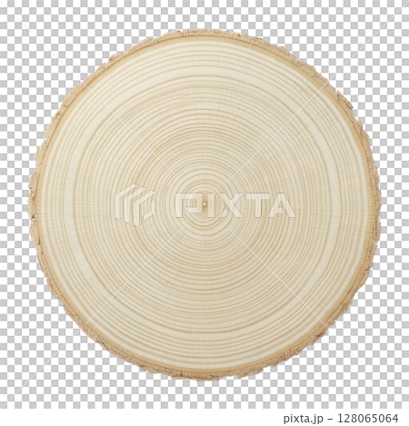 Cross section of tree trunk displays concentric growth rings, showcasing natural texture and pattern of wood. circular slice highlights age and history of tree 128065064