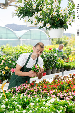 Young man holding begonia in pot Young man holding begonia in pot 128066143