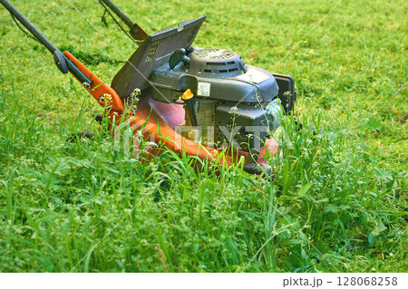 Professional grass summer cutting on lawns with handle lawn mower 128068258