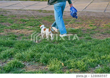 Go home.Woman with Jack Russell terrier returning from walk 128068597