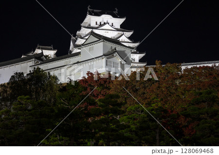 世界遺産 国宝姫路城 夜間ライトアップ 世界遺産 国宝姫路城 夜間ライトアップ 128069468