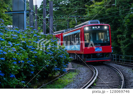 《神奈川県》あじさい電車・箱根登山鉄道 《神奈川県》あじさい電車・箱根登山鉄道 128069746