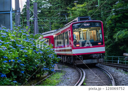 《神奈川県》あじさい電車・箱根登山鉄道 《神奈川県》あじさい電車・箱根登山鉄道 128069752