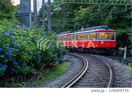 《神奈川県》あじさい電車・箱根登山鉄道 128069754