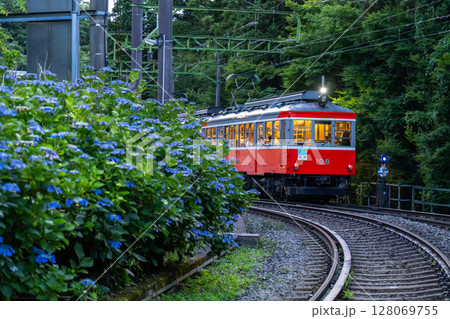 《神奈川県》あじさい電車・箱根登山鉄道 128069755