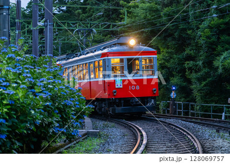 《神奈川県》あじさい電車・箱根登山鉄道 《神奈川県》あじさい電車・箱根登山鉄道 128069757