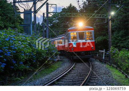 《神奈川県》あじさい電車・箱根登山鉄道 128069759