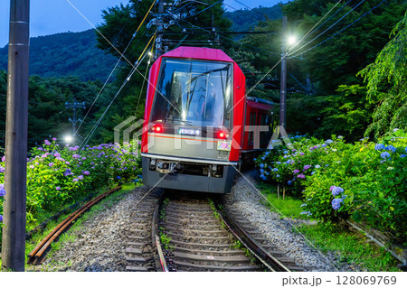 《神奈川県》あじさい電車・箱根登山鉄道 128069769