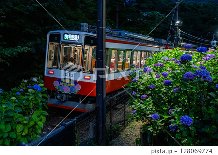 《神奈川県》あじさい電車・箱根登山鉄道 128069774
