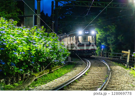 《神奈川県》あじさい電車・箱根登山鉄道 128069778