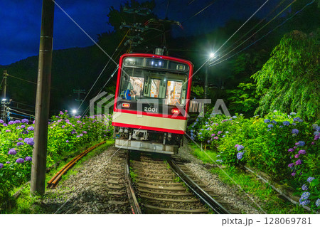 《神奈川県》あじさい電車・箱根登山鉄道 128069781