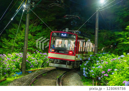《神奈川県》あじさい電車・箱根登山鉄道 128069786