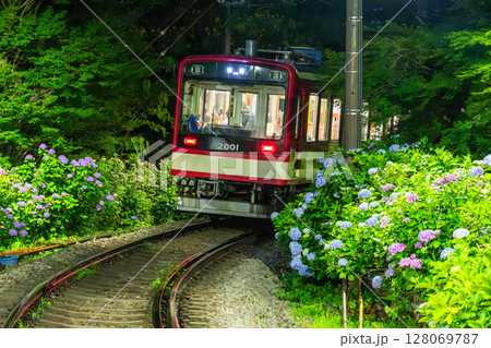 《神奈川県》あじさい電車・箱根登山鉄道 128069787