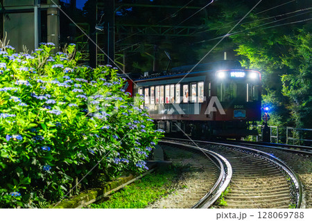 《神奈川県》あじさい電車・箱根登山鉄道 128069788