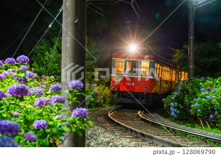 《神奈川県》あじさい電車・箱根登山鉄道 128069790
