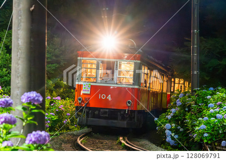 《神奈川県》あじさい電車・箱根登山鉄道 《神奈川県》あじさい電車・箱根登山鉄道 128069791