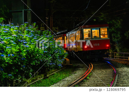 《神奈川県》あじさい電車・箱根登山鉄道 《神奈川県》あじさい電車・箱根登山鉄道 128069795