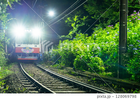 《神奈川県》あじさい電車・箱根登山鉄道 《神奈川県》あじさい電車・箱根登山鉄道 128069798