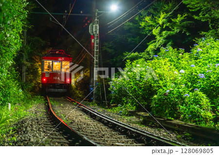 《神奈川県》あじさい電車・箱根登山鉄道 128069805