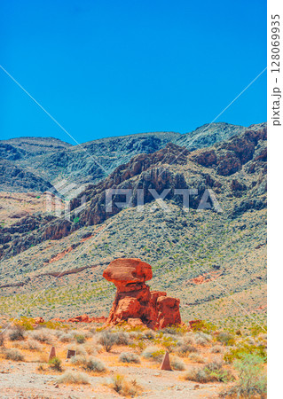 Valley of Fire State Park in Nevada, USA 128069935