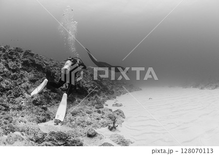 西表島の海　ダイビングの風景 128070113