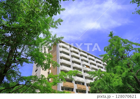 青空と集合住宅 128070621
