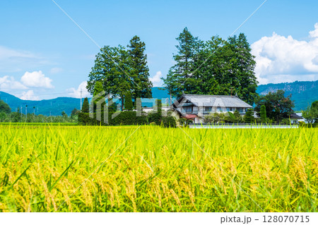 夏の田舎風景 128070715