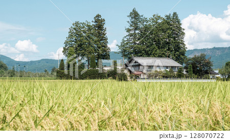 夏の田舎風景 夏の田舎風景 128070722