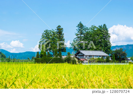 夏の田舎風景 128070724