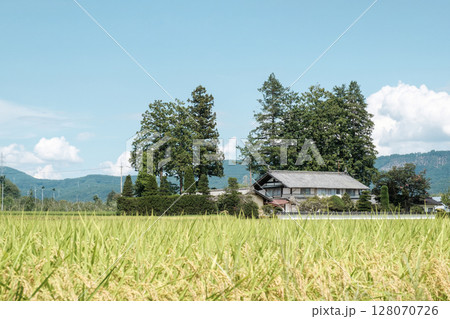 夏の田舎風景 128070726