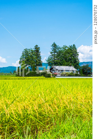 夏の田舎風景 128070732