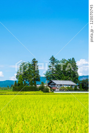 夏の田舎風景 128070745