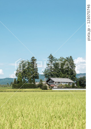夏の田舎風景 夏の田舎風景 128070746