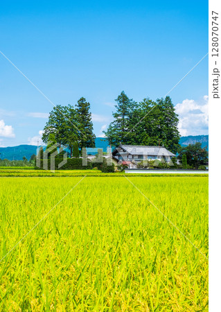 夏の田舎風景 128070747