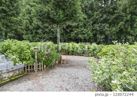 6月の弘長寺(長野県松本市) 6月の弘長寺(長野県松本市) 128072244