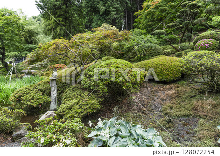 6月の弘長寺（長野県松本市） 128072254