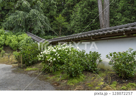 6月の弘長寺（長野県松本市） 128072257