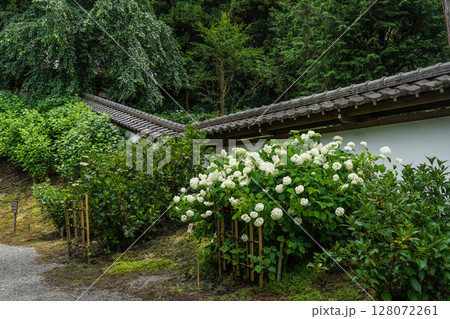 6月の弘長寺(長野県松本市) 6月の弘長寺(長野県松本市) 128072261