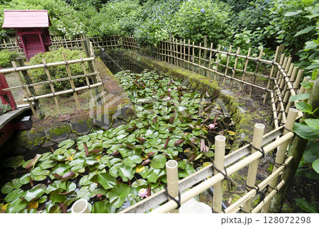 6月の弘長寺(長野県松本市) 6月の弘長寺(長野県松本市) 128072298