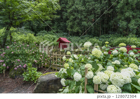 6月の弘長寺(長野県松本市) 6月の弘長寺(長野県松本市) 128072304