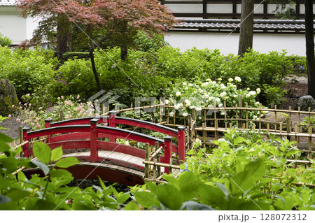 6月の弘長寺（長野県松本市） 128072312