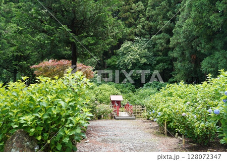 6月の弘長寺(長野県松本市) 6月の弘長寺(長野県松本市) 128072347