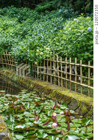 6月の弘長寺（長野県松本市） 128072350