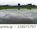 水田と秋田新幹線 128072767