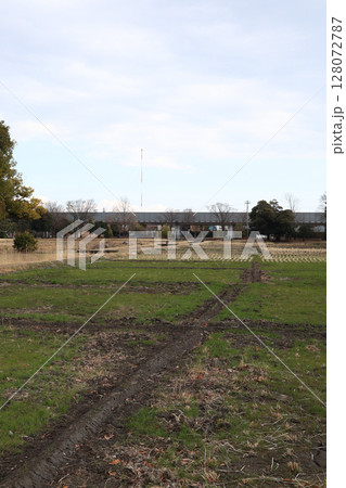 復元された弥生時代のムラにある水田 128072787