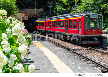 《神奈川県》あじさい電車・箱根登山鉄道塔ノ沢駅 128072822