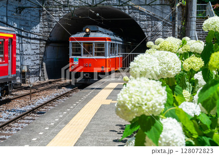《神奈川県》あじさい電車・箱根登山鉄道塔ノ沢駅 128072823